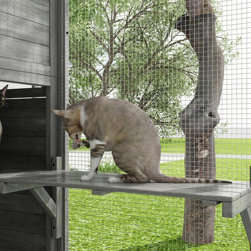 Large Outdoor Wooden Chicken Coop & Cat Enclosure with Run, 2 Colors Pet Cage