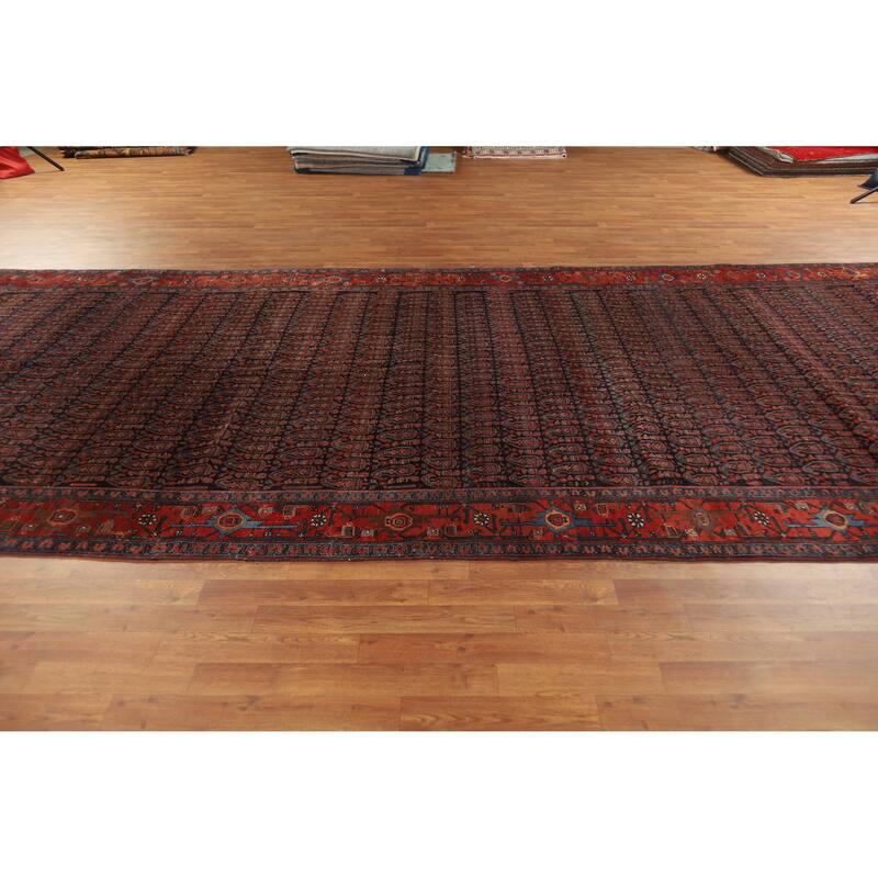 Hand Knotted Oriental 100% Wool Carpet Traditional All-Over Navy Blue & Blues Bidjar Area Rug - 17' 8'' X 6' 9''