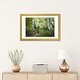 preview thumbnail 6 of 18, iCanvas "Birch Trees & Tall Grass" by Danny Head