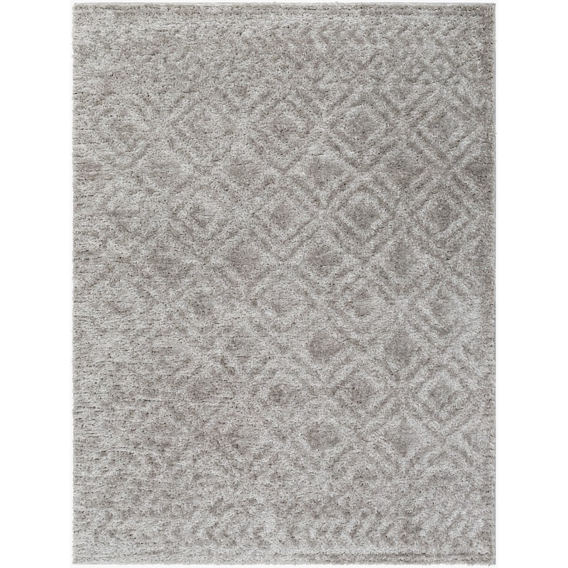 Livabliss Transitional Nomadic Tribal Area Rug