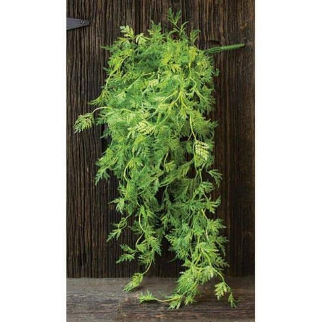 Badium Hanging Bush
