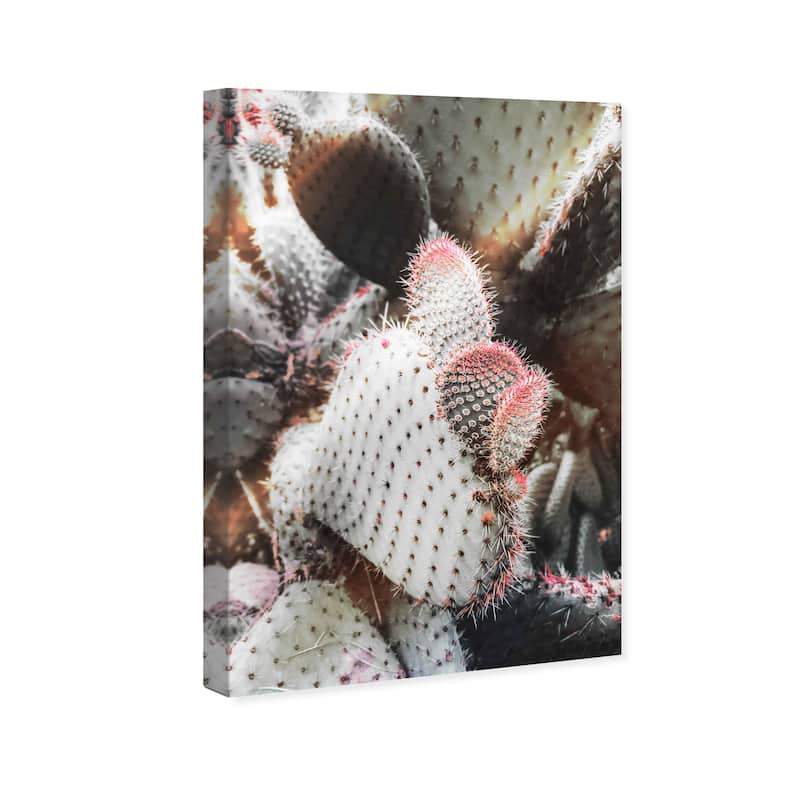 Wynwood Studio Canvas Floral and Botanical Prickly Pears Plants Green and Hot Pink Modern & Contemporary Wall Art Canvas Print