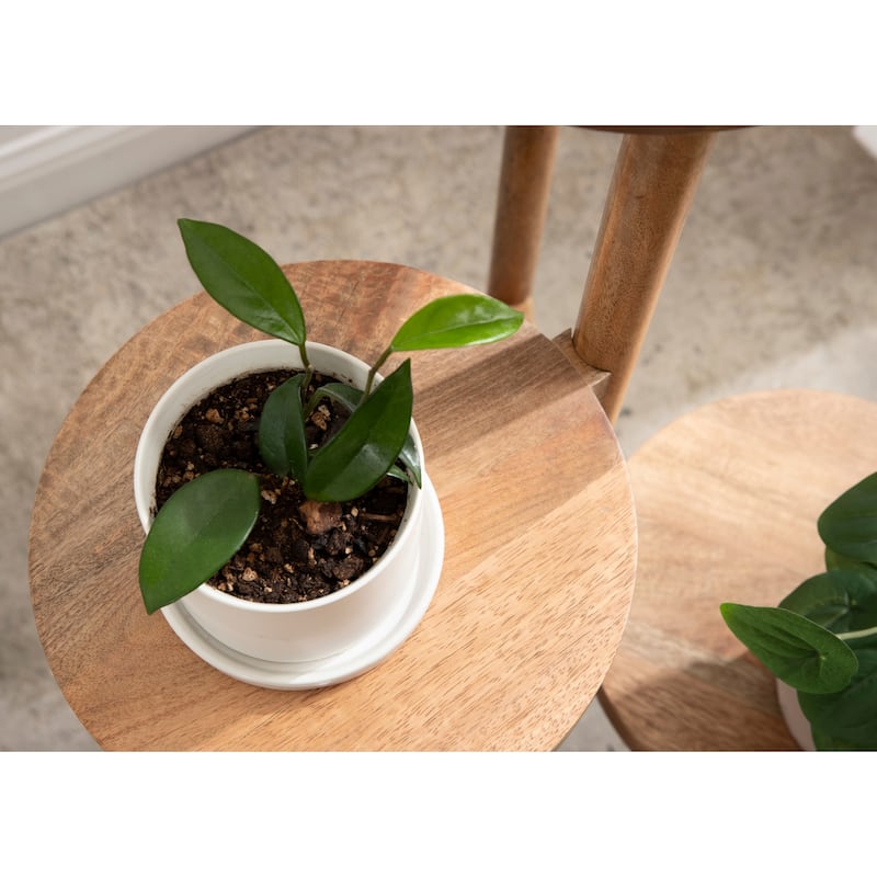 Kate and Laurel Fitley Wooden Plant Stand - 16x16x35