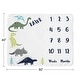 preview thumbnail 4 of 4, Mod Dino Collection Boy Baby Monthly Milestone Blanket - Blue, Green and Grey Modern Dinosaur Rawr