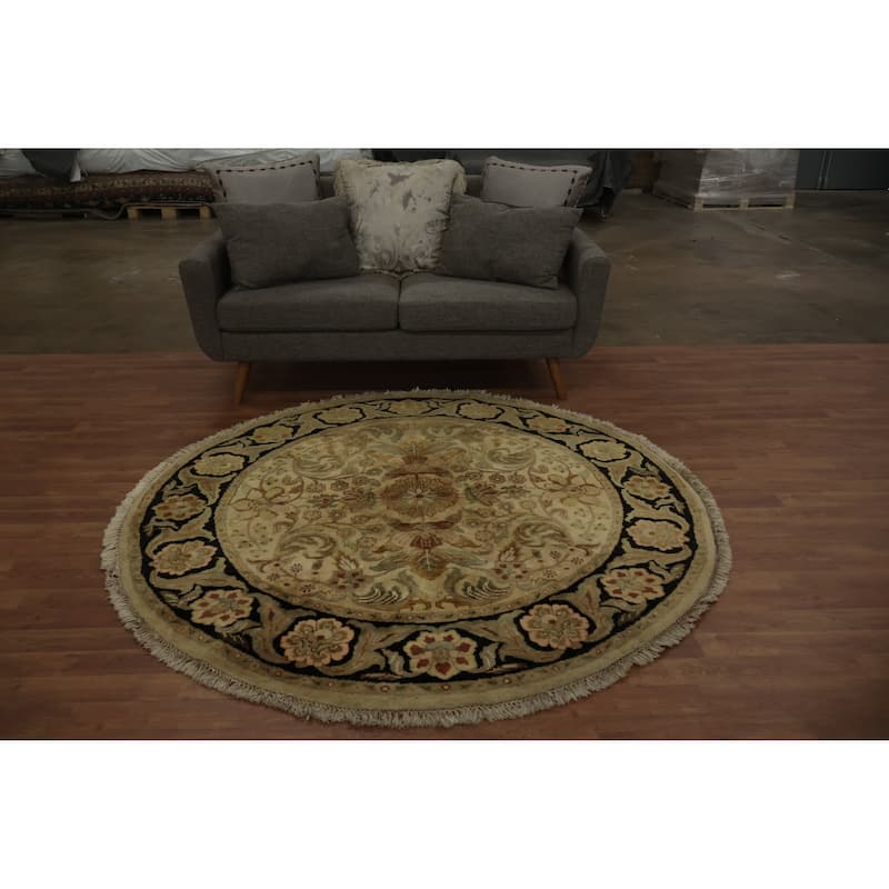 Hand Knotted Oriental 100% Wool Carpet Traditional All-Over Beige & Ivories Agra Area Rug - 5' 10'' X 5' 11''