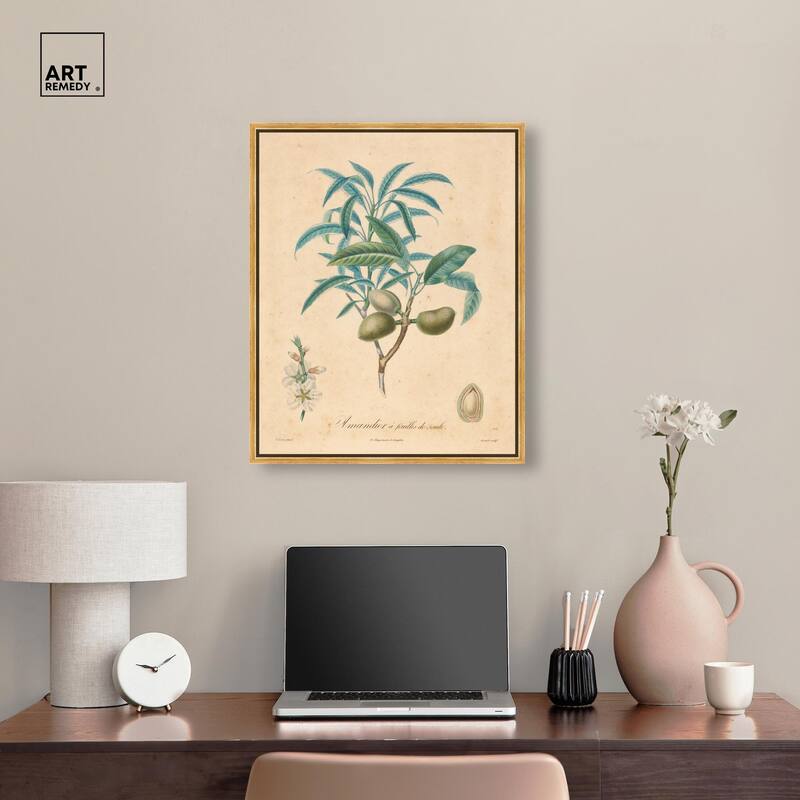 Almond of Georgia II Canvas by Art Remedy