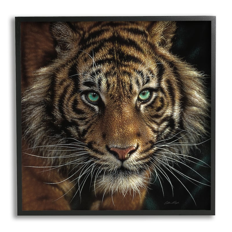 Stupell Fierce Wild Tiger Crouching Green Eyes Detailed Portrait Framed Wall Art - Black - 17 x 17 - Black