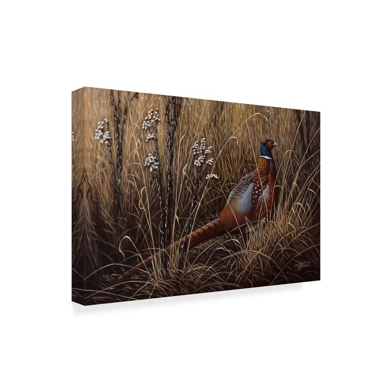 Wilhelm Goebel 'Pheasant In The Grass' Canvas Art