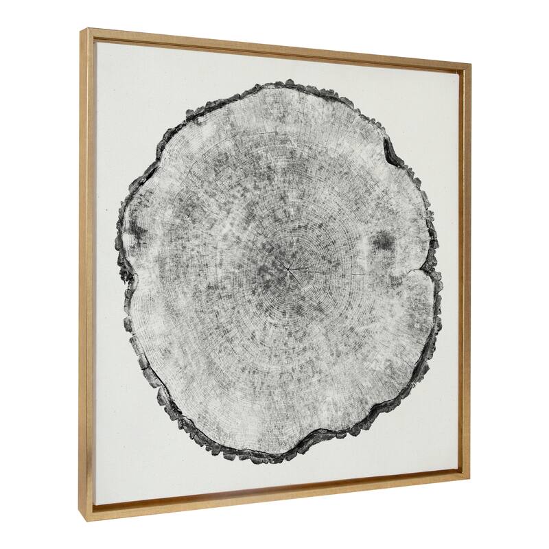 Kate and Laurel Sylvie Rings Framed Canvas by Emiko and Mark Franzen - 30x30 - Yellow