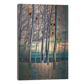 Winter At Lake Michigan Print On Wood by Michelle Calkins - Multi-Color ...