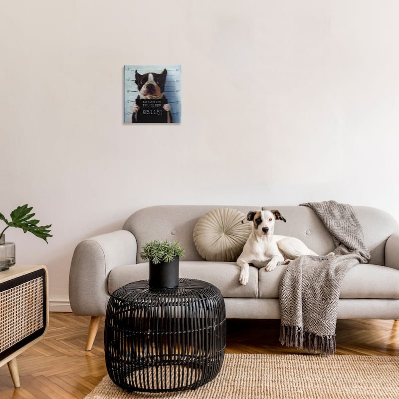 Stupell Funny Boston Terrier Dog Jail Convicted Police Canvas Wall Art - Blue