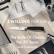 preview thumbnail 3 of 13, ZWILLING Four Star Paring Knife