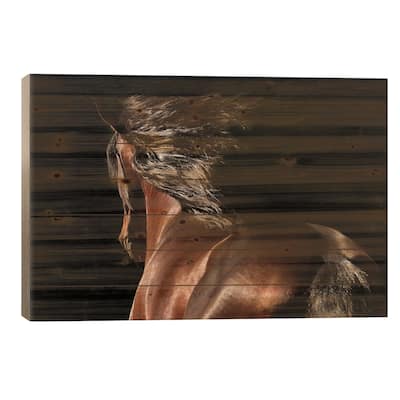Reflection Print On Wood by Tony Stromberg - Multi-Color