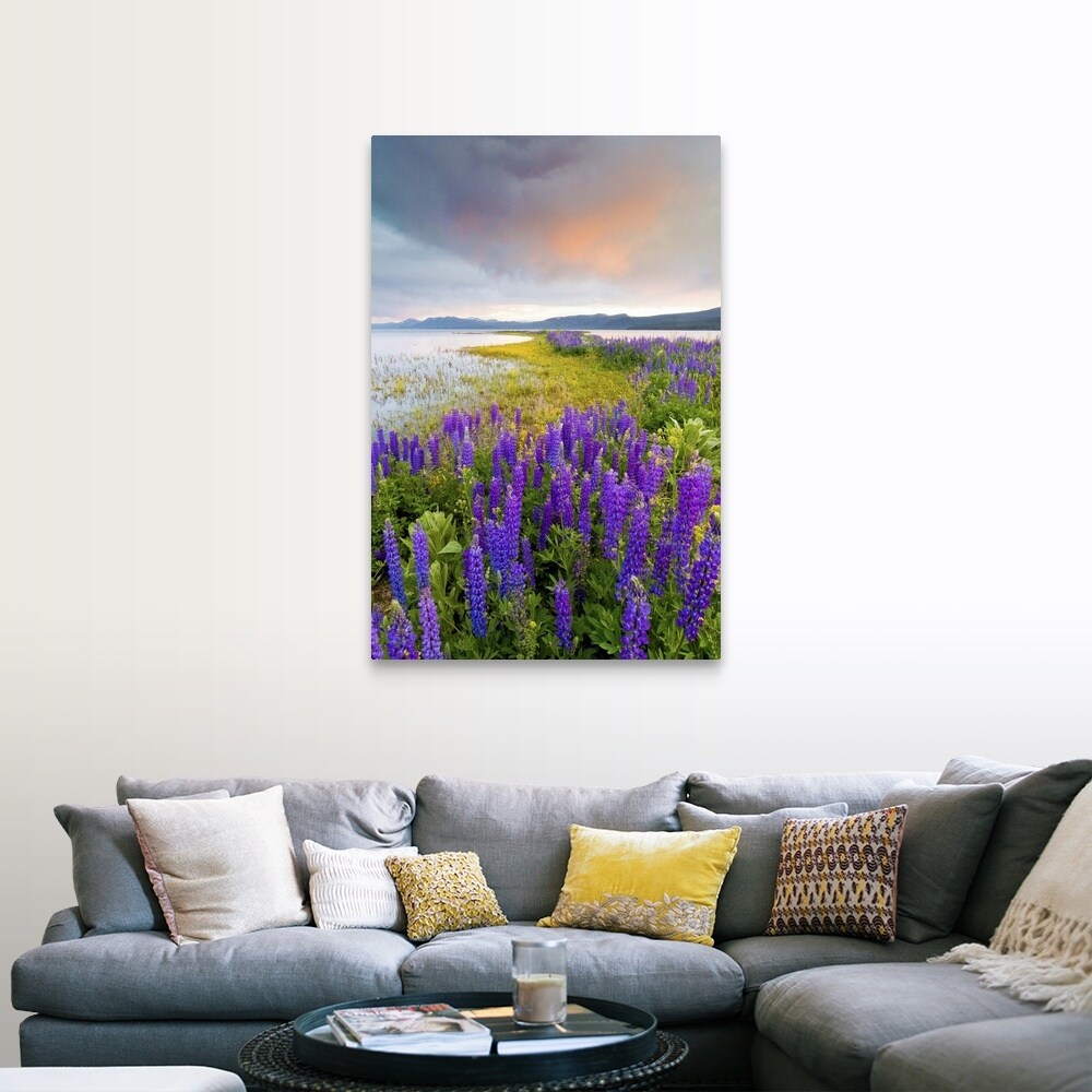 Shop A Field Of Lupine Wildflowers On The North Shore Of Lake