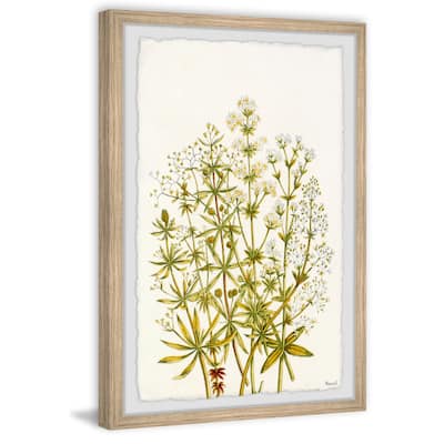 The Flowering Plant Framed Print