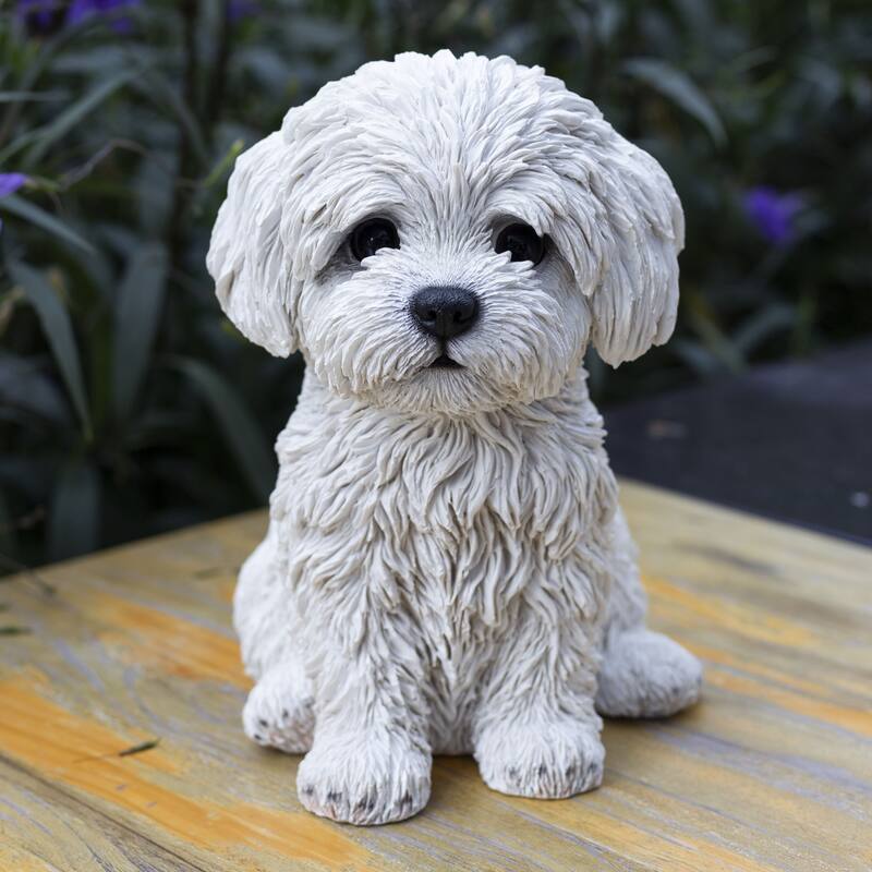 SoReal White Baby Maltese