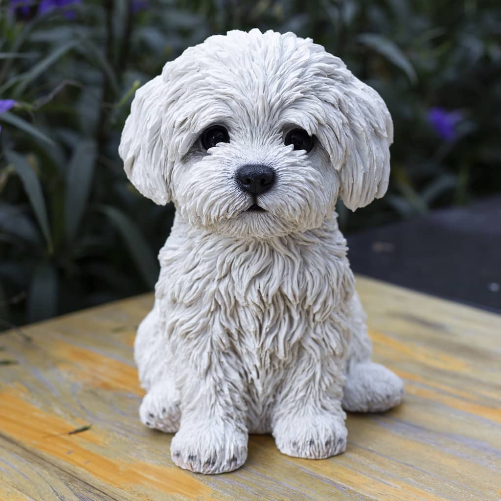 SoReal White Baby Maltese
