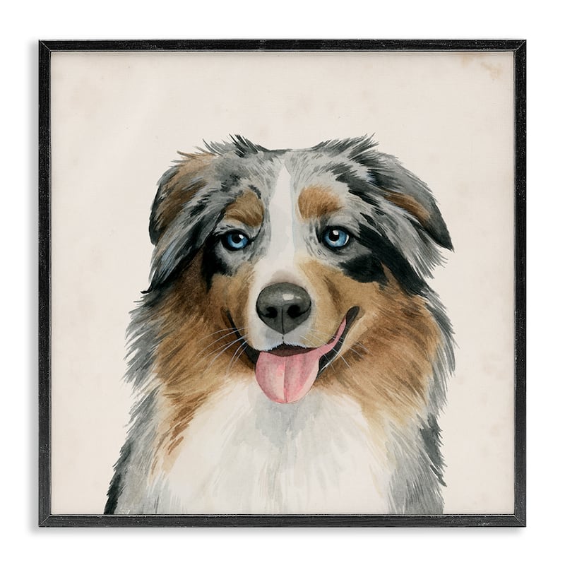 Stupell Soft Charming Australian Shepard Dog Portrait Framed Wall Art,12x12 - 12 x 12 - Black