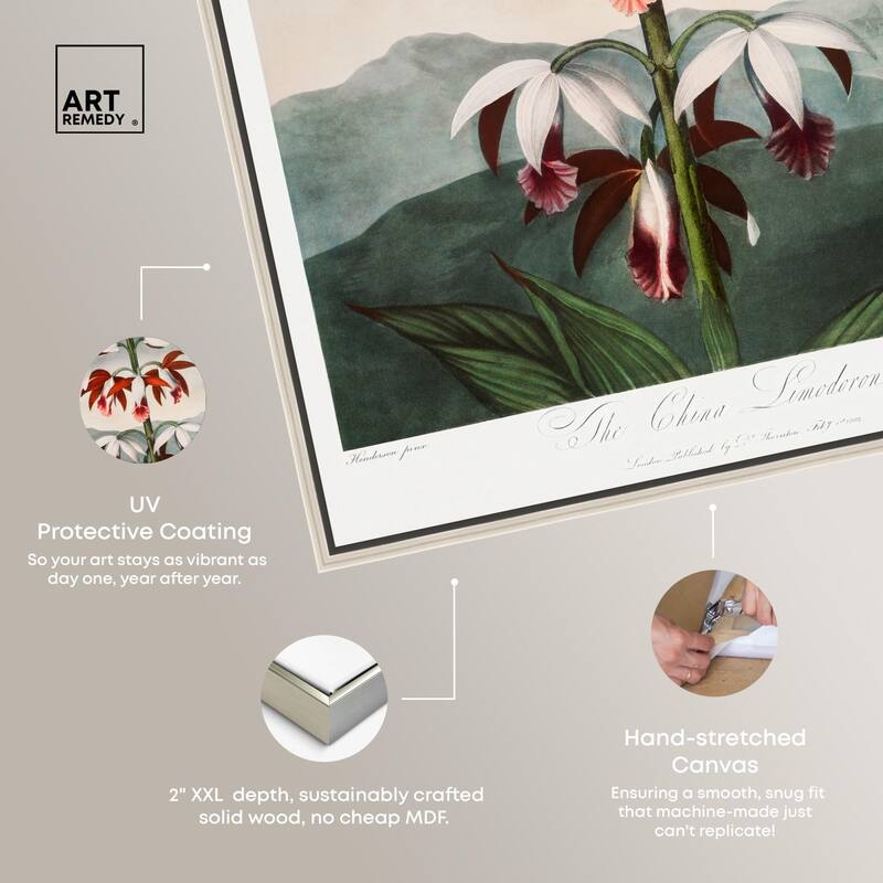 The China Limodoron 1807 Canvas by Art Remedy