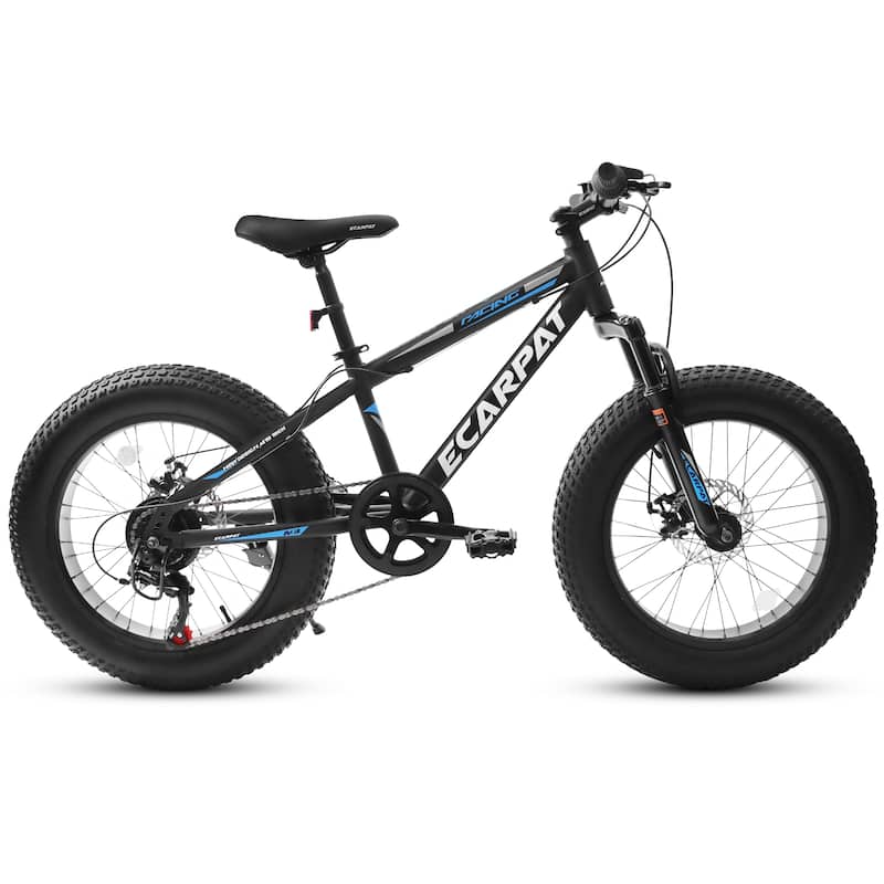 20 Inch Fat Tire Bike Adult/Youth Full Shimano 7 Speed Mountain Bike