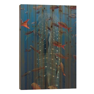 Whale Shark Swimming With Other Tropical Fish, Wolf Island, Galapagos Islands, Ecuador Print On Wood by Pete Oxford