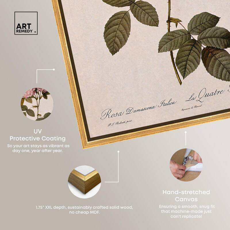 Damask Rose Canvas by Art Remedy