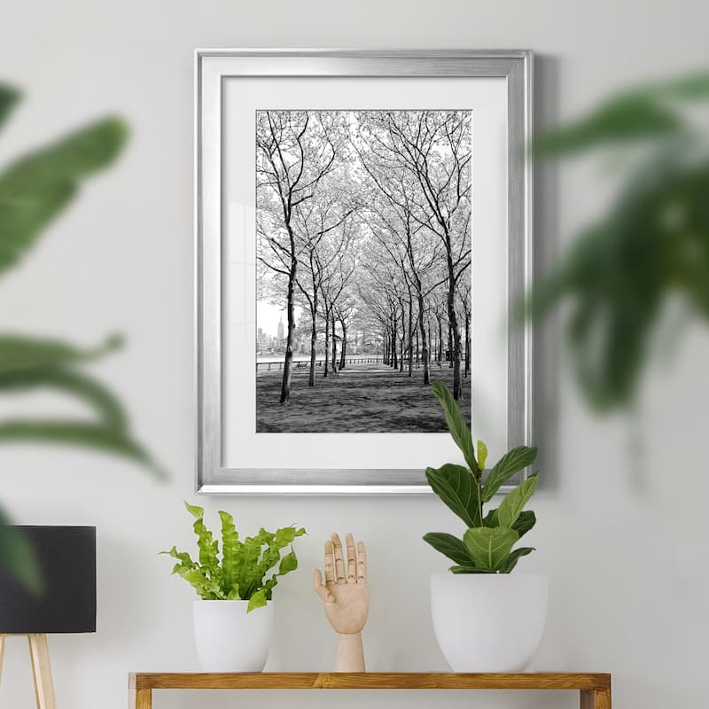 Pier a Park Premium Framed Print - Ready to Hang
