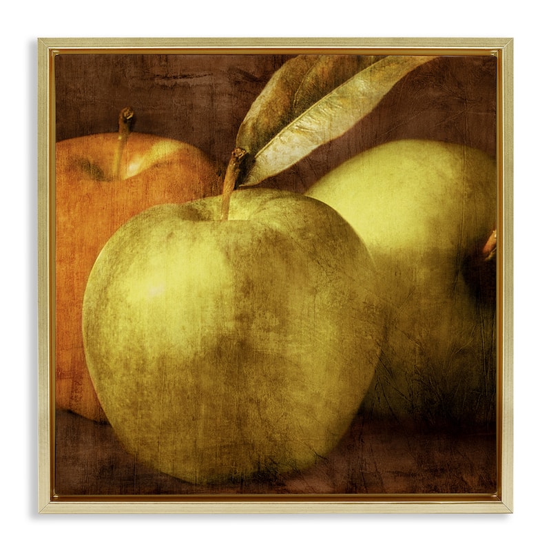 Stupell Vintage Apples Close Up Framed Floater Canvas Wall Art Design By Caroline Kelly - 25 x 25 - Gold