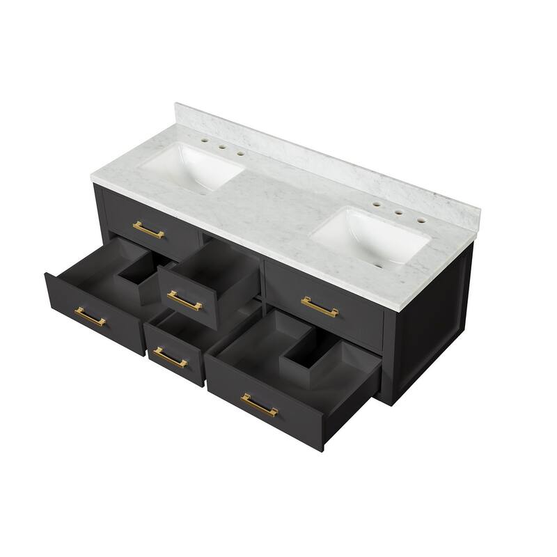Lexora Castor Double Bath Vanity and Carrara Marble Top