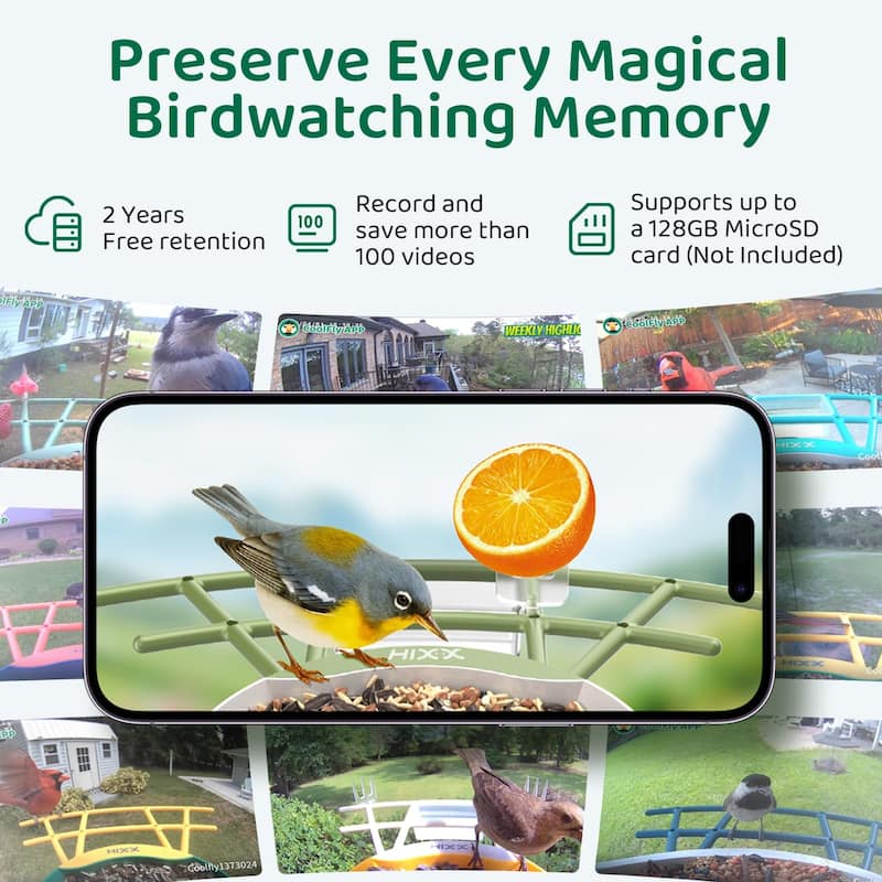 Smart Bird Feeder with Camera 2K HD Live