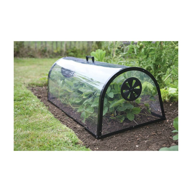 Kitchen Plant Protection Garden Cloche