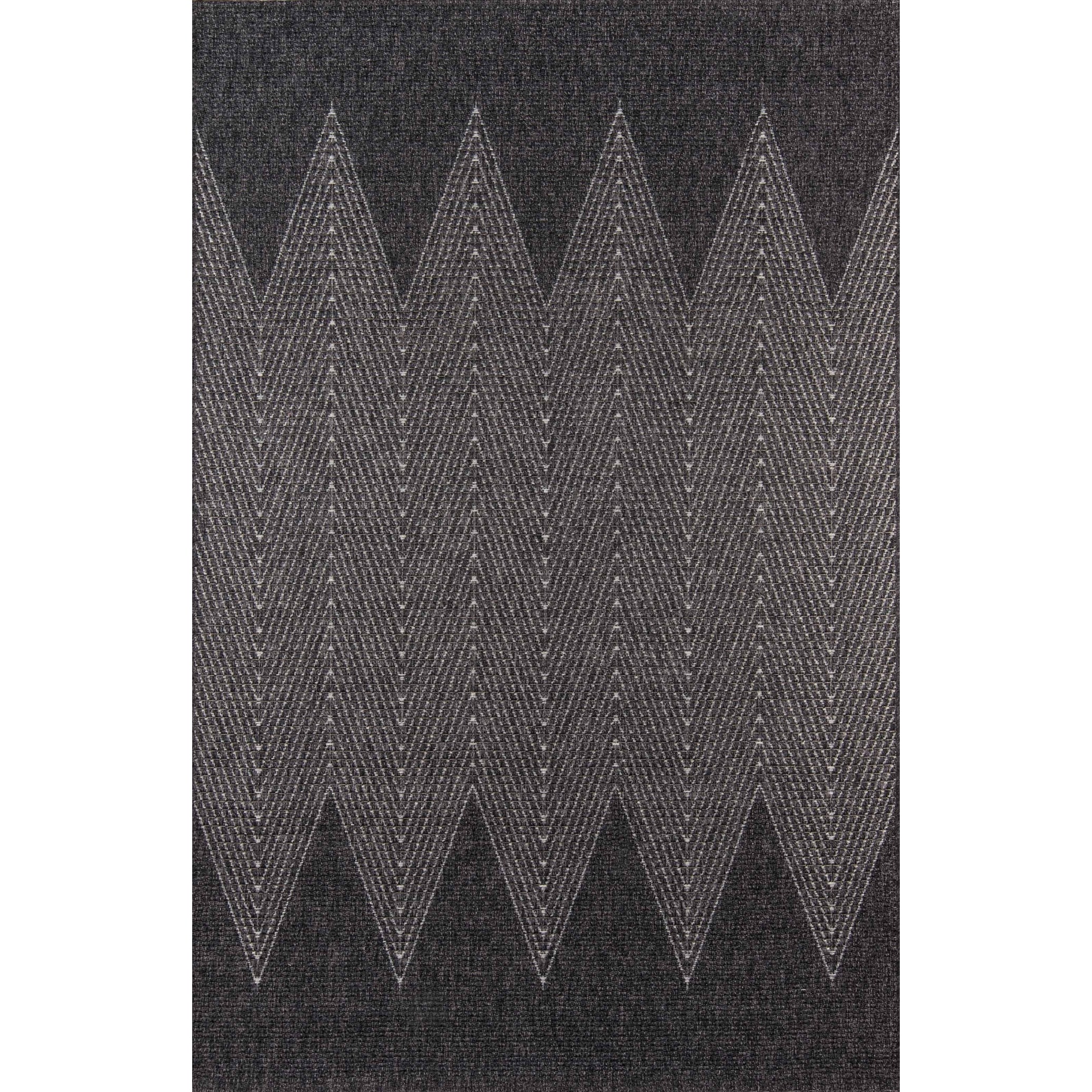 ECARPETGALLERY Machine Woven Raven Indoor/Outdoor Area Rug