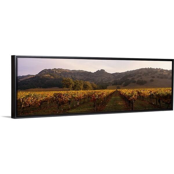 Stag's Leap Wine Cellars Napa Winecountry CA Black Float Frame Canvas