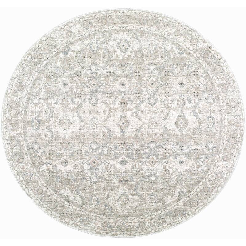 Livabliss Poetry Traditional Area Rug - Light Slate - 5'3" x 5'3"