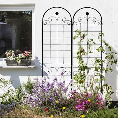 2 Pack Metal Garden Trellis for Climbing Plants Outdoor
