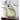 Signature Design by Ashley Scottyard Olive Green Vase