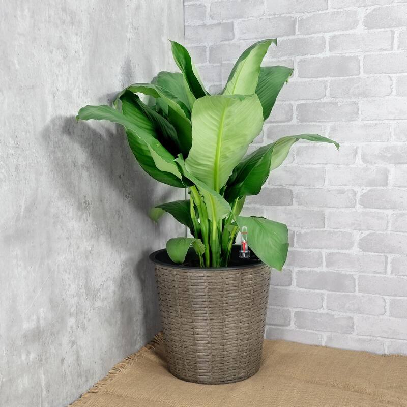 2-Pack Self-watering Wicker Round Decor Planter