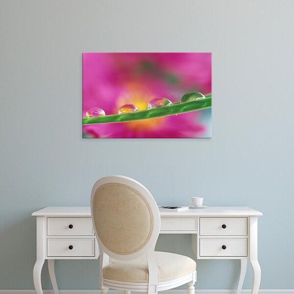 Easy Art Prints Adam Jones's 'Image Of Asters Formed In Water Droplets' Premium Canvas Art