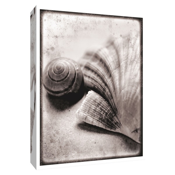 PTM Images 9-154831 PTM Canvas Collection 10" x 8" - "Ocean Treasures" Giclee Shells Art Print on Canvas