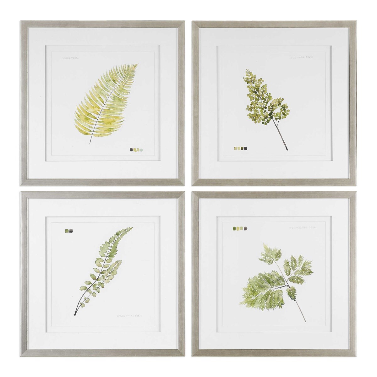 Shop Set Of 4 Watercolor Leaf Study Prints 28 Overstock 26888993