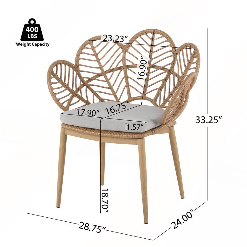 Outdoor Wicker Peacock Shape Papasan Style Chair Set of 2