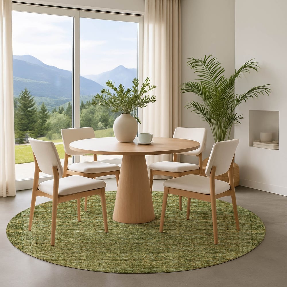 Premium Washable Super Soft Vintage Traditional Mayfield Rug