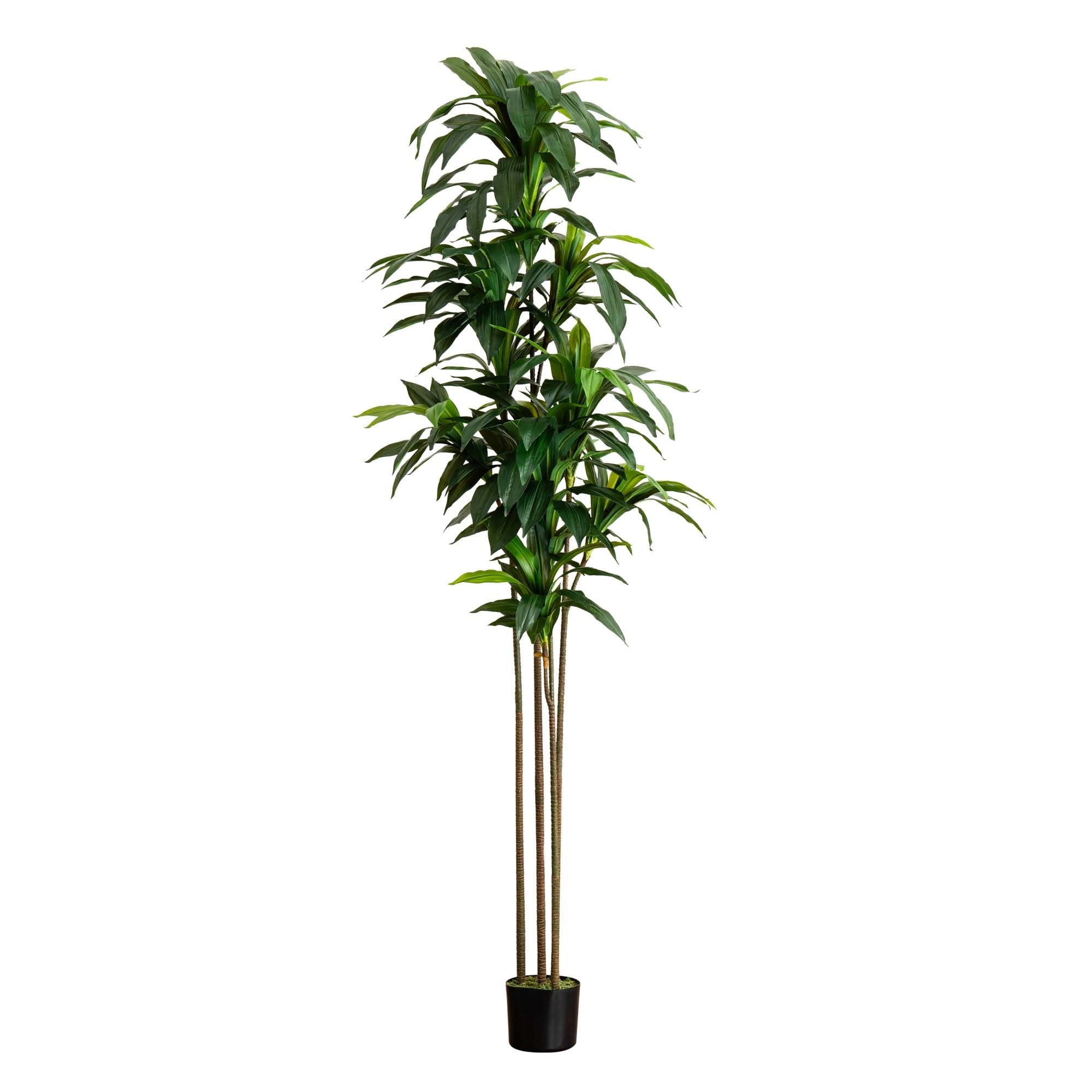 9' Artificial Dracaena Tree with Real Touch Leaves - Green