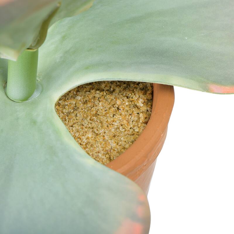 Faux Succulent in Terracotta Colored Pot