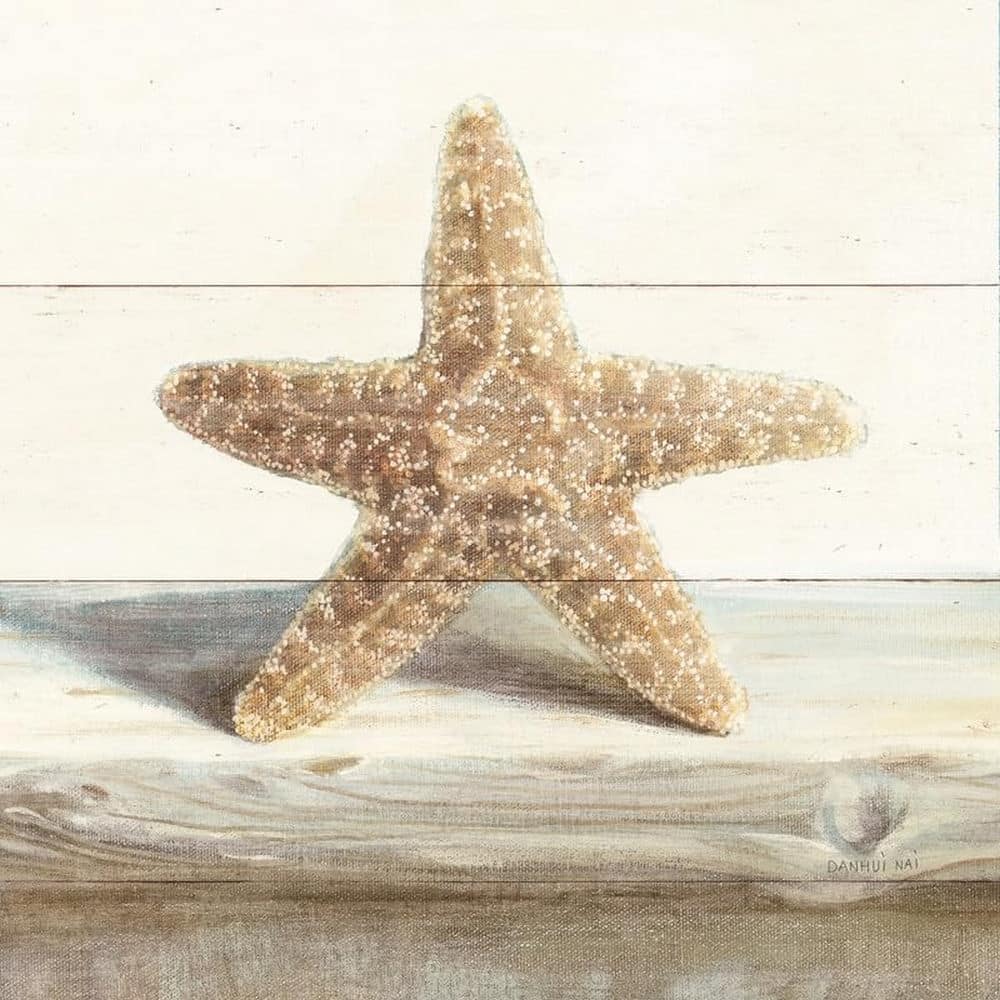 Driftwood Shell III Art Poster - Print On Demand
