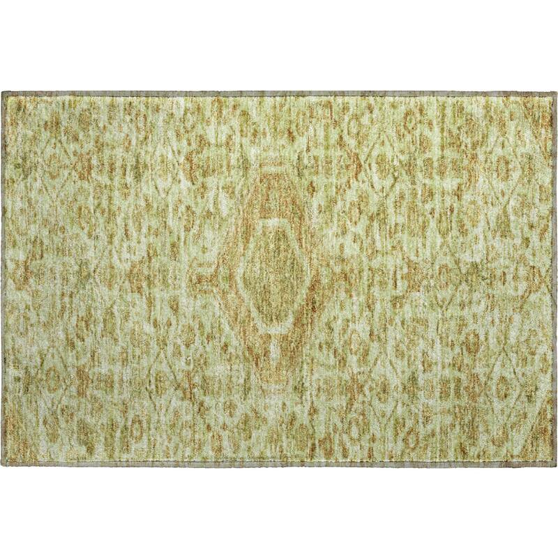 Premium Washable Super Soft Traditional Global Mayfield Rug