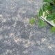 preview thumbnail 5 of 47, Nourison Cozy Shimmer Glam Area Rug