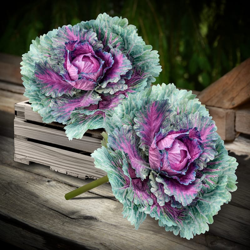 Kale Pick 7.25" - Purple