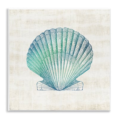 Stupell Gradient Clam Seashell Wall Plaque Art Design By Susan Arnot