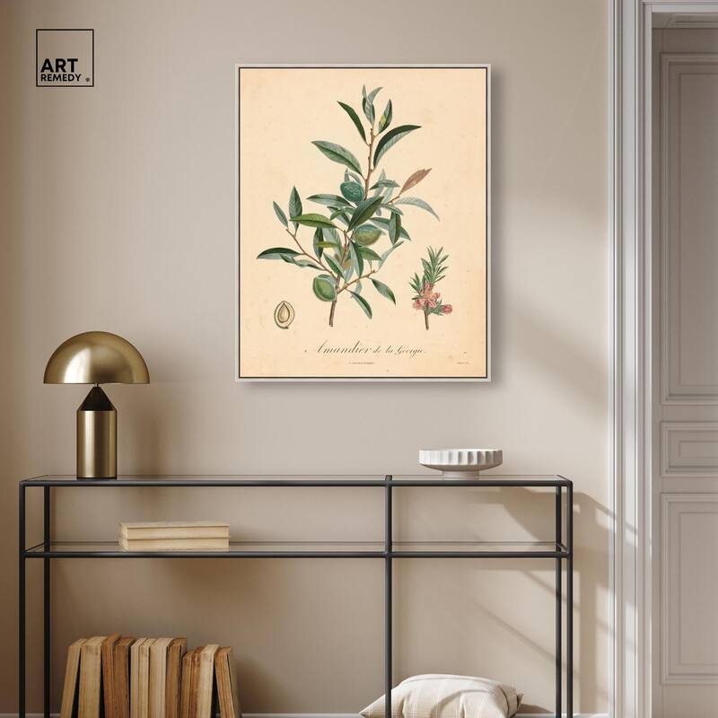 Almond of Georgia I Canvas by Art Remedy
